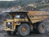 Ozzy, Strip 6, Cypress