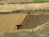04 DHML, spreading topsoil on final batters, 2008, Stockton Mine.JPG