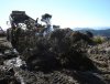 09 DHML vegetation direct transfer, Stockton Mine   .JPG